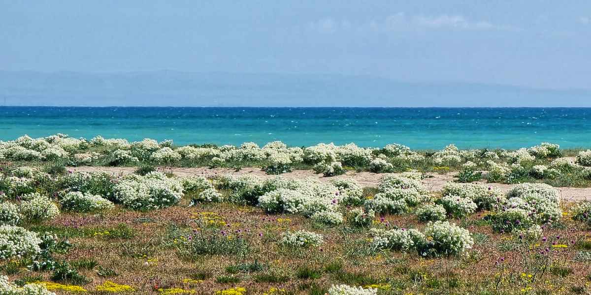 Отдых в санаториях Евпатории