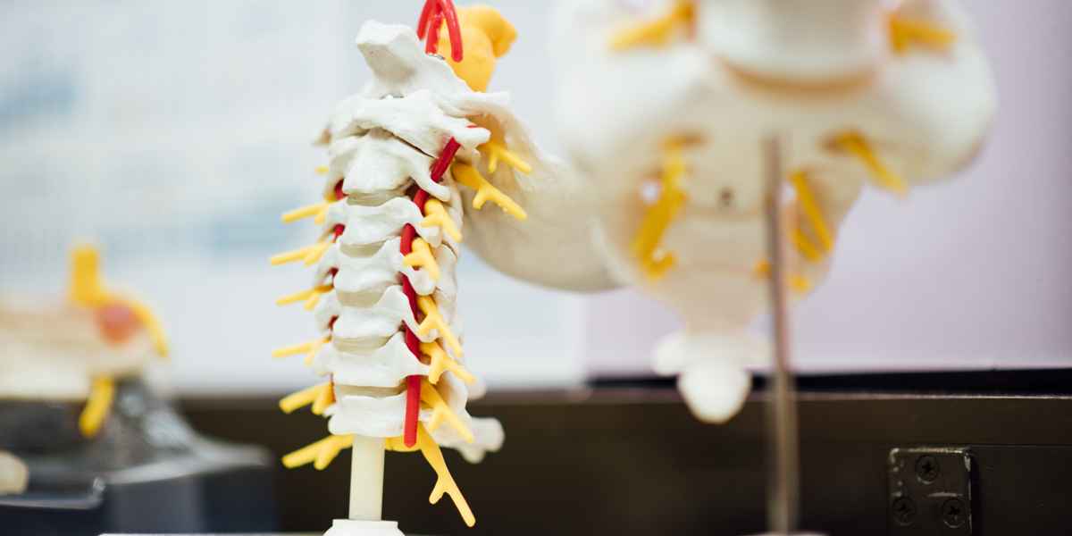 Подводное вытяжение позвоночника в санаториях