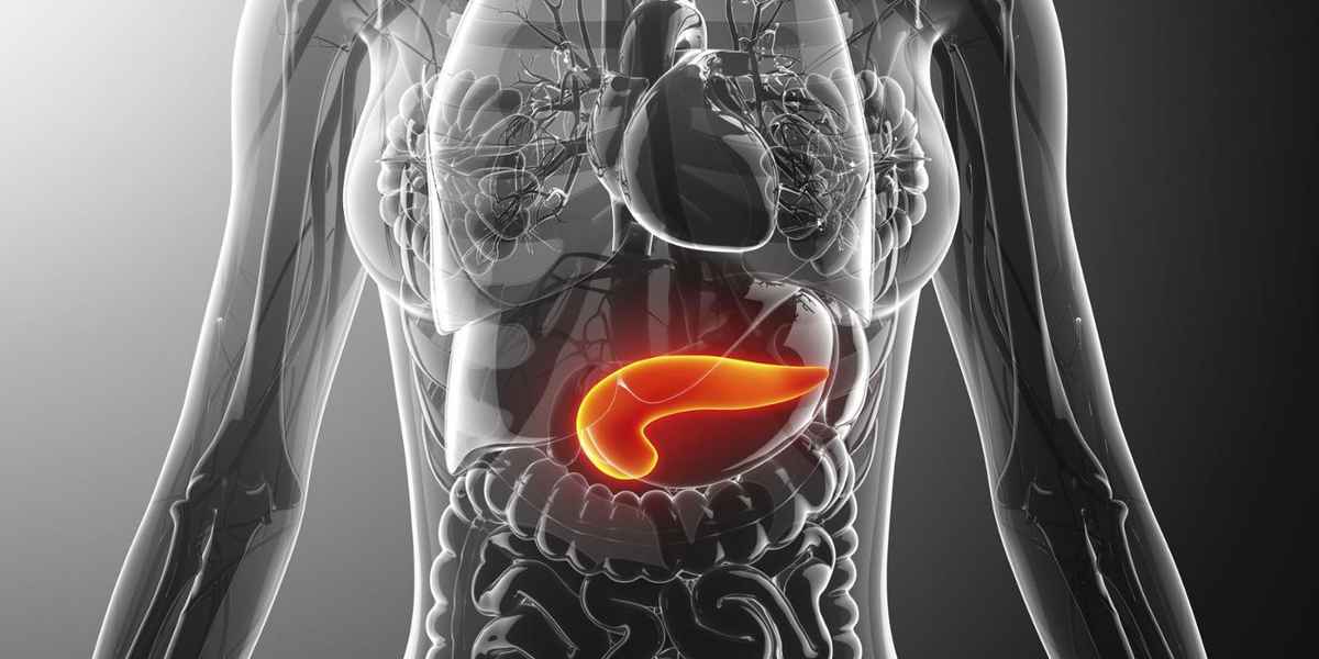 Санатории лечащие панкреатит