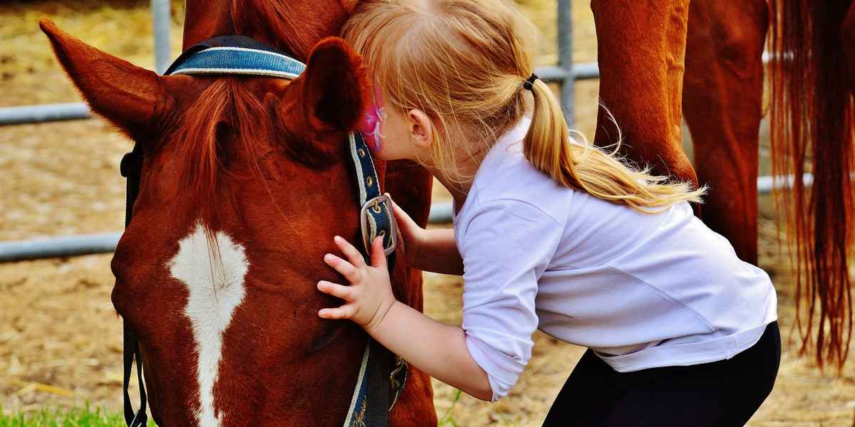 Анималотерапия в санатории