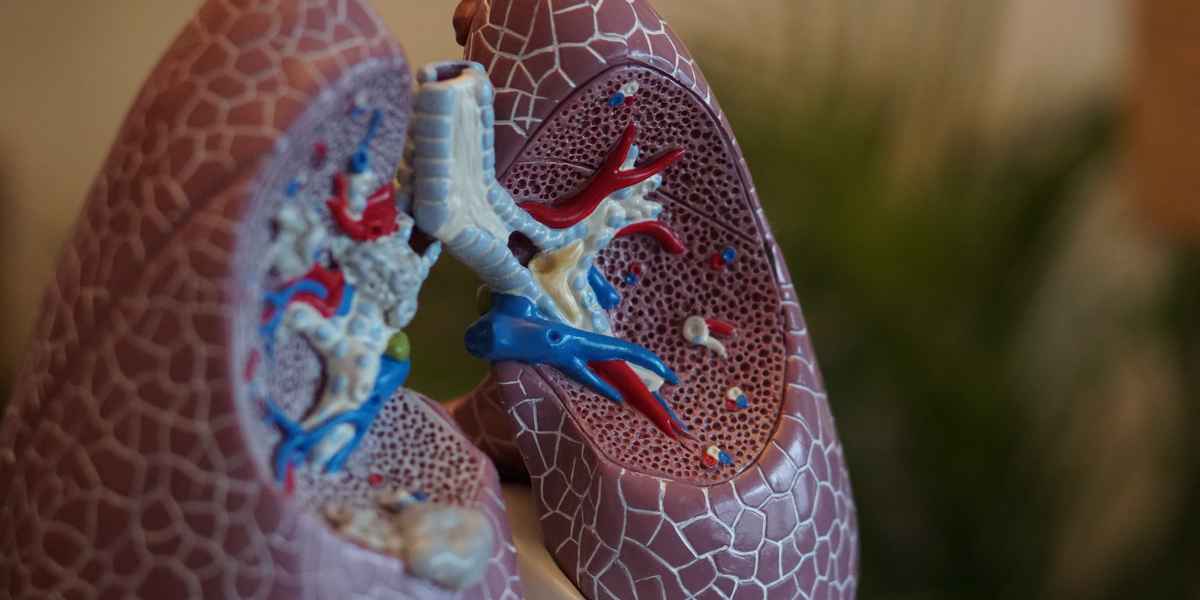 Процедуры для легких