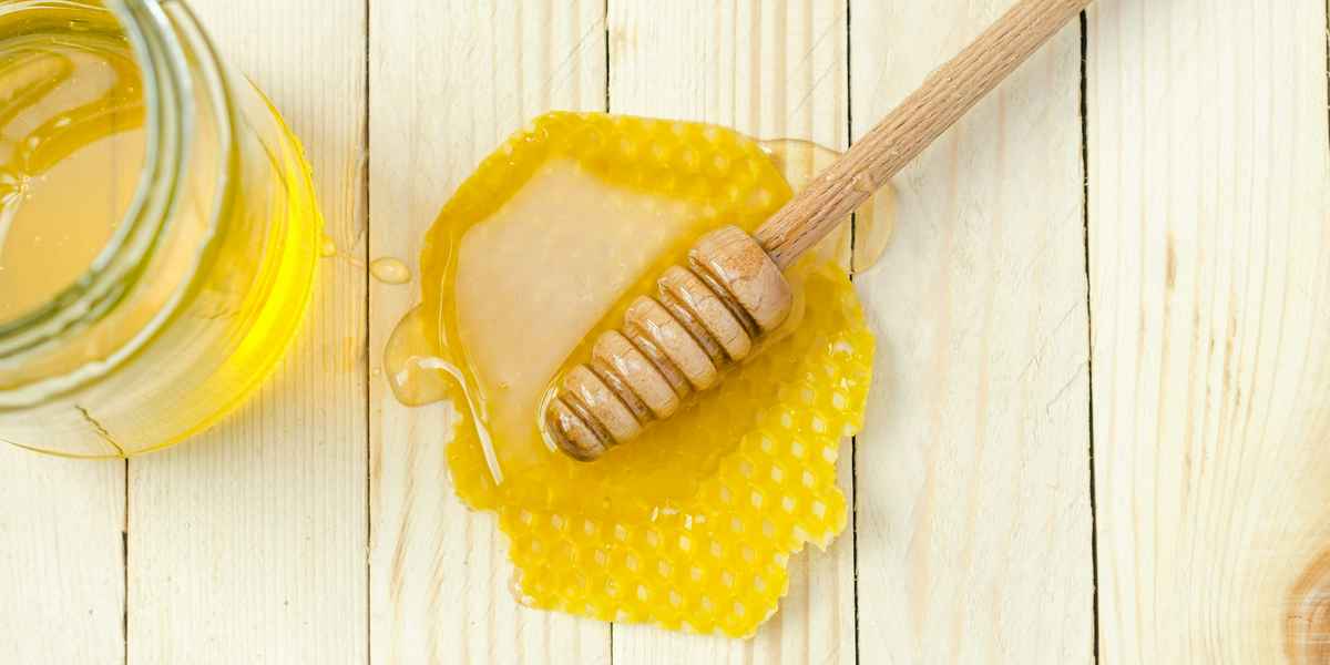 Польза фитобара