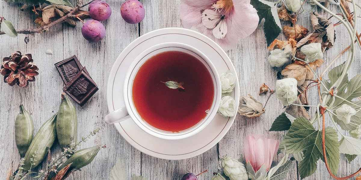 Лечебная фитотерапия