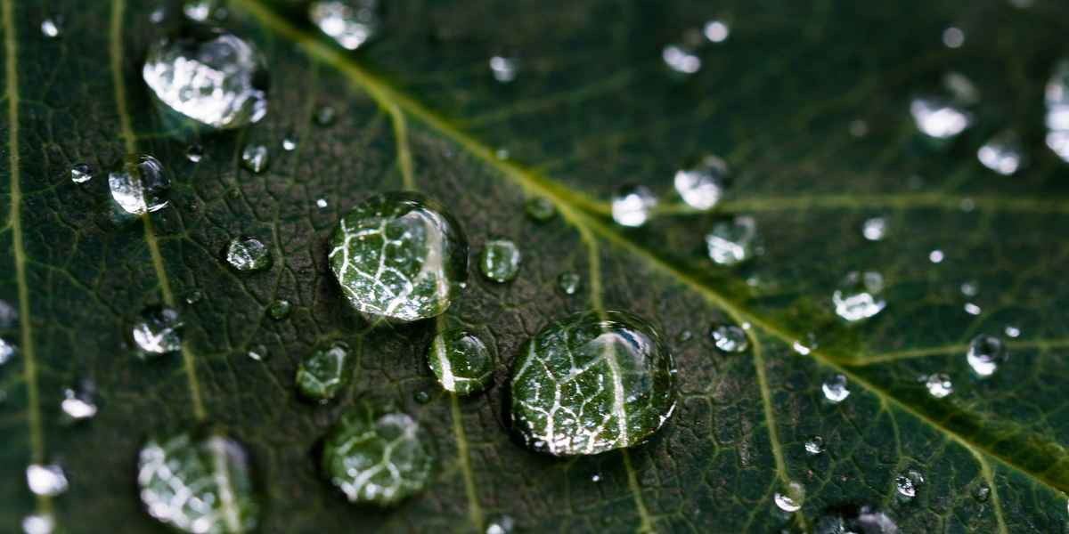 Польза воды