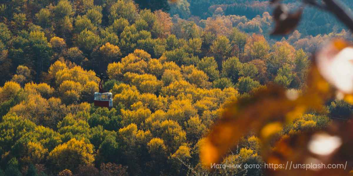 Что лечат в Кисловодске