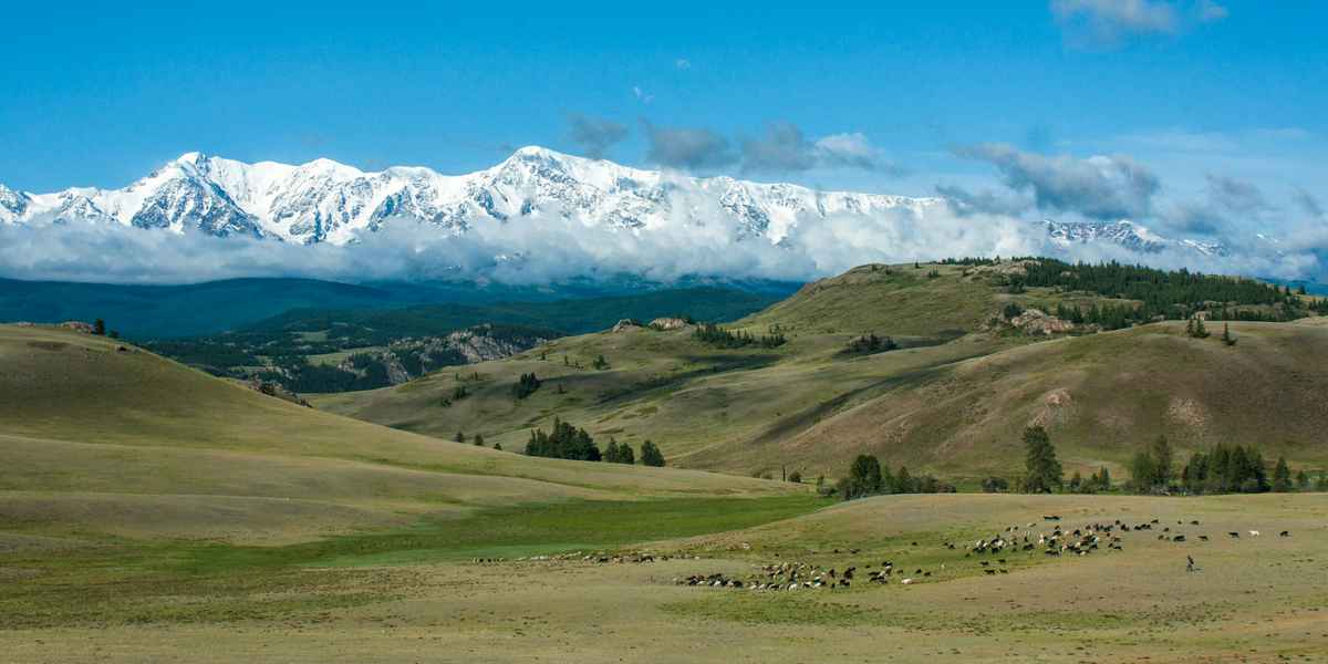 отдых на Алтае со спа