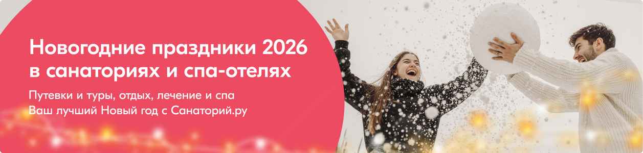 Куда поехать на Новый год 2026, туры и путевки в санатории и спа-отели Подмосковья, Сочи, Петербурга, Карелии