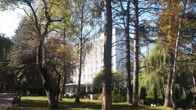 Санаторий «Грушевая роща»