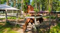 Загородный отель «Атлас Парк Отель», фото 5