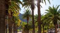 Castle Hot Springs, фото 16