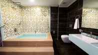 Отель Tarakli Termal Suite Hotel, фото 7