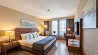 Отель Holiday Inn Istanbul Sisli, an IHG Hotel, фото 4