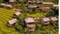 Eco Palms House - Sapa Retreat