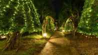 Lazi Beach Resort, фото 12