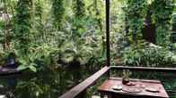 Daintree Ecolodge, фото 10