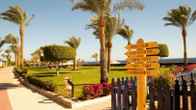 Grand Oasis Resort, фото 2