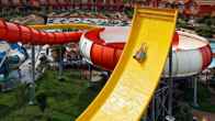 Jungle Aqua Park - All Inclusive, фото 2