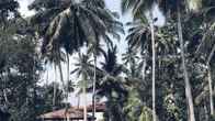 Talalla Retreat, фото 5