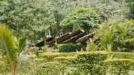 Talalla Retreat, фото 6