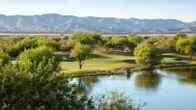 Sheraton Grand at Wild Horse Pass, фото 2