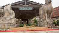Great Wolf Lodge Grapevine