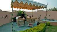 The Tree of Life Resort & Spa, Jaipur, фото 3