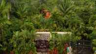 Baldi Hot Springs Hotel and Spa, фото 35