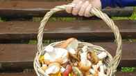 Пансионат Северное Сияние, фото 7