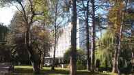 Санаторий «Грушевая роща»
