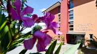 Hotel Mirta