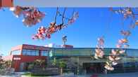 Hotel Histrion, фото 2