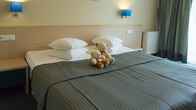 Spa Hotel Ruutli, фото 3