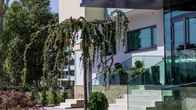 Splendid Conference & Spa Hotel — Adults Only, фото 2