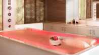 Ana Hotels Sport, фото 4