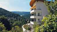 Schwarzwald Panorama, фото 2