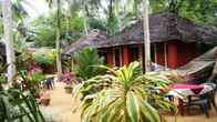 New Ideal Panchakarma Centre, фото 2