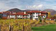 Wine & SPA Complex Starossel, фото 4