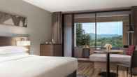 Izu Marriott Hotel Shuzenji, фото 3