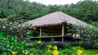 Absolute Sanctuary, фото 2