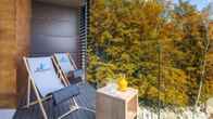 Blue Mountain Resort, фото 4