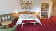 Wellnesshotel Basler Hof am Schlosswald, фото 12