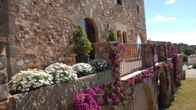 Apartamento Cal Petit, фото 3