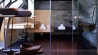Park Gstaad, фото 3