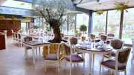 Grand Hotel Kielce, фото 4