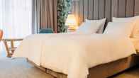 Eventhotel Pyramide, фото 2