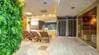 Devin Spa Hotel, фото 2