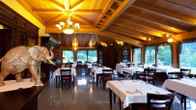 Etxegana Hotel & Spa, фото 4