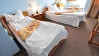 Dobrogea Hotel, фото 2