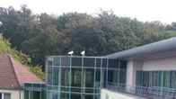 Hotel Seehof Haltern am See