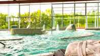 Hotel Spa Attica 21 Villalba, фото 2